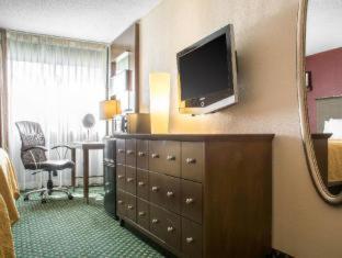 Motel 6 Rochester - Airport Room photo